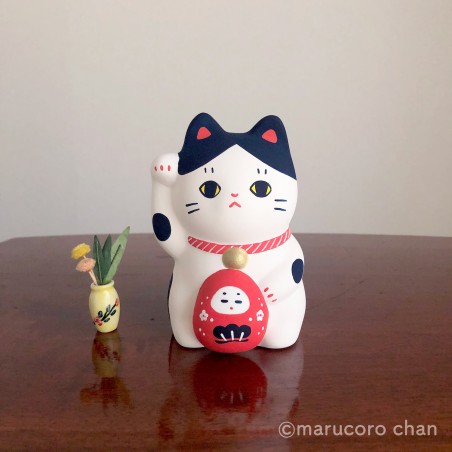 Manekineko Hachiwara holding a hime daruma piggy bank