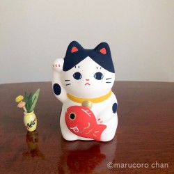 Manekineko Hachi carrying a Koi carp piggy bank