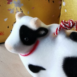 Dorei Sweet cow ceramic Seto Katotouki